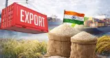 India Rice Export: EU में भारतीय चावल की 52 खेपों पर अलर्ट, क्वालिटी मानकों से बढ़ी चिंता