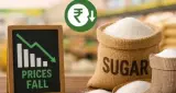 चीनी के दाम 10% तक गिरे, 58.50 रुपये किलो हुई कीमत, बड़े उपभोक्ताओं के लिए स्टॉक लिमिट 30 दिन