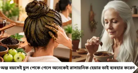 White Hair Colouring: পাকা চুল ঢাকতে হেয়ার ডাই নয়, ঘরেই বানান এই হেয়ার প্যাক! মেহেন্দি-আমলা-কফিতে মিলতে পারে গাঢ় আভা
