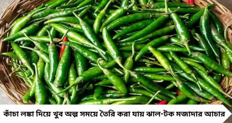 রোদে দেওয়ার ঝামেলা নেই, কয়েক মিনিটেই তৈরি! ঝাল-টক ‘ইনস্ট্যান্ট’ কাঁচা লঙ্কার আচার বানান এভাবে
