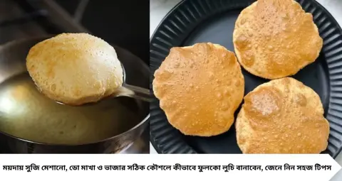 Luchi Making Tips: লুচি ভাজার পর তেলতেলে হয়ে যায়? ময়দায় এই উপকরণ মেশান, ফুলকো লুচি হবে অনেকক্ষণ
