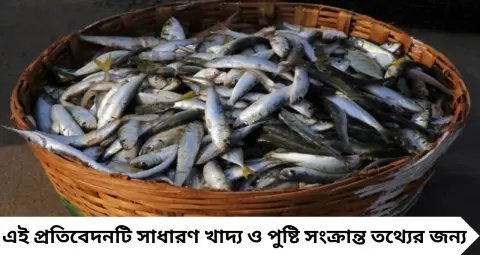 King Fish: ইলিশ-রুই নয়, এই সামুদ্রিক মাছও পুষ্টিতে ভরপুর! B12, Vitamin D ও প্রোটিনে সমৃদ্ধ সুরমাই চিনবেন কীভাবে?
