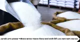 Ration Update: পুজোর আগেই বড় ঘোষণা! রেশনে বিনামূল্যে মিলবে চিনি-ময়দা, কোন কার্ডে কত পাবেন জানুন
