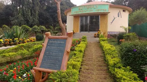 राजगीर में 27 सितंबर को सजेगी ‘Butterfly Walk’, तितलियों की दुनिया से रूबरू होंगे प्रकृति प्रेमी