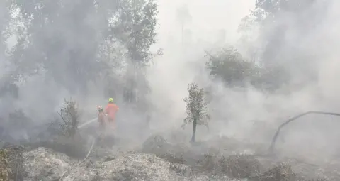 इंडोनेशिया में जंगल की आग से हाहाकार, 1.75 लाख लोग बीमार; 8.95 लाख हेक्टेयर जमीन जली