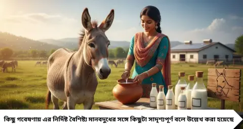 Donkey Milk: ১০০-২০০ টাকা নয়, লিটারপ্রতি ৭০০০! কেন এত দাম গাধার দুধের? জানুন আসল কারণ
