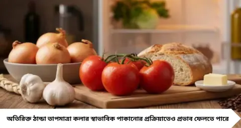 Refrigerator Tips: ফ্রিজে ভুলেও রাখবেন না এই ৫ খাবার! স্বাদ-গন্ধ তো বদলাবেই, নষ্ট হতে পারে গুণমানও

