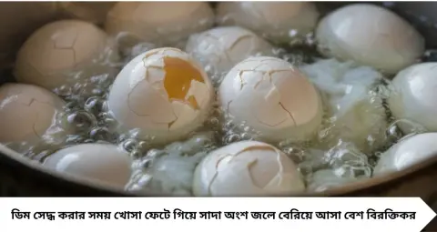 Egg Boiling Tips: সেদ্ধ করতে গেলেই ডিম ফেটে যায়? ৫টি ভুল এড়িয়ে এই কৌশলে বানান একেবারে অটুট সেদ্ধ ডিম
