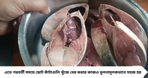 Hilsa Kanta Cleaning Tips: ইলিশের ছোট ছোট কাঁটা বাছতে নাজেহাল? এই কৌশলে মাছ না ভেঙেই সহজে বের করুন সব কাঁটা
