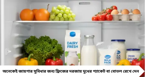 ফ্রিজে রাখলেও বারবার কেটে যাচ্ছে দুধ? এই জায়গায় রাখুন, অনেকক্ষণ থাকবে টাটকা
