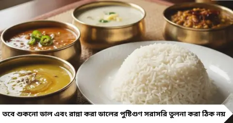 Best Dal for Proteins: মুগ, মুসুর, অড়হর নাকি বিউলি? রোজের পাতে কোন ডাল রাখবেন, জানুন পুষ্টিগুণ
