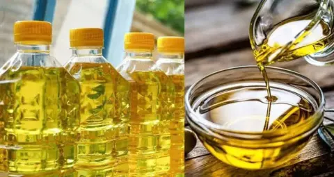 Cooking Oil Price: त्योहारों से पहले सस्ता हो सकता है खाने का तेल, सरकार ने घटाई इंपोर्ट ड्यूटी
