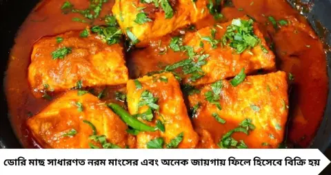 Fish Health: কাঁটার ঝামেলা কম, প্রোটিন-ওমেগা ৩-এ ভরপুর! বাচ্চা থেকে বড়—এই ৫ মাছ রাখতে পারেন পাতে

