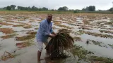 अयोध्या में तेज बारिश और हवाओं का असर: आसमान में घने बादल, धान-गन्ने की फसल को नुकसान की आशंका