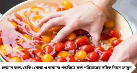Fruits Tips: ফলে রাসায়নিকের ভয়? বাজার থেকে আনার পর এই ৫ উপায়ে পরিষ্কার করুন, জানুন সঠিক পদ্ধতি
