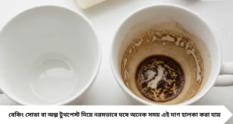 Tea Coffee Stains: কাপে চা-কফির জেদি বাদামি দাগ কিছুতেই উঠছে না? রান্নাঘরের এই ২ জিনিসেই ফিরবে ঝকঝকে চেহারা
