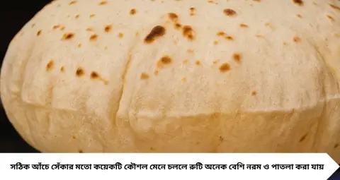 Patla Ruti: আটা মাখা থেকে বেলা—এই ৫ কৌশল মানলেই রুটি হবে কাগজের মতো পাতলা, থাকবে নরমও