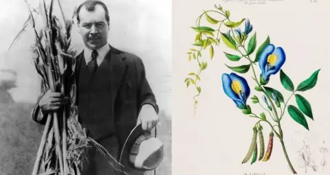 Nikolai Vavilov: फसलों की Genetic Diversity बचाने वाले वैज्ञानिक ने बदल दी कृषि की सोच