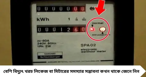 Electricity Meter Red Light: মিটারের লাল আলো দ্রুত জ্বলছে-নিভছে? সবসময় বিপদ নয়, তবে এই বিষয়গুলি অবশ্যই পরীক্ষা করুন
