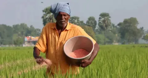 पोटाश खाद की कीमत में 800 रुपये प्रति क्विंटल बढ़ोतरी, 50 किलो का बैग अब 2200 रुपये में
