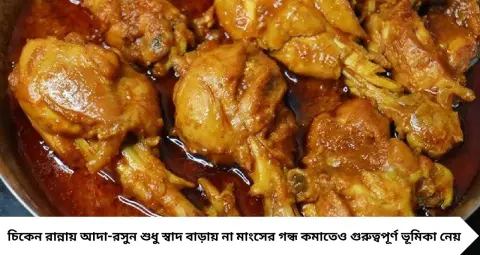 Garlic in Chicken Cooking: ১ কেজি চিকেনে কটা রসুন আর কত চামচ আদা? মাপ ভুল হলেই নষ্ট স্বাদ, জেনে নিন পারফেক্ট অনুপাত

