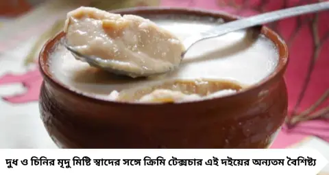 Banglar Doi: শুধু লাল মিষ্টি দই নয়, বাংলায় রয়েছে এমন ৭ রকম দই! ঝুড়ির দই থেকে অমৃত পয়োধি—স্বাদে মুগ্ধ হবেন
