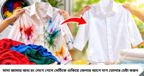 White Clothes Stain Cleaning: সাদা জামায় অন্য জামার রং লেগেছে? ঘষাঘষি নয়, এই কৌশলে তুলুন রং
