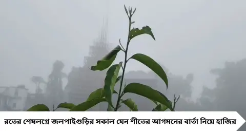 Weather Update: পুজোর মুখেই ঘন কুয়াশায় ঢাকল জলপাইগুড়ি! তবে কি আগেভাগেই শীতের আমেজ, বদলের ইঙ্গিত আবহাওয়ায়?
