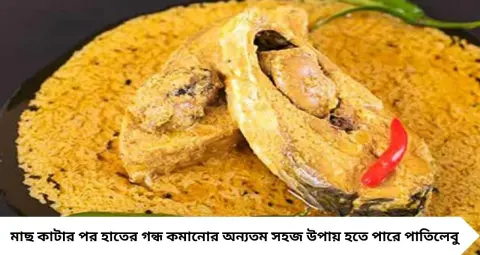 ইলিশ কাটার পর হাতে আঁশটে গন্ধ? সাবানেও যাচ্ছে না! রান্নাঘরের এই ৪ জিনিসেই মিলবে সহজ সমাধান
