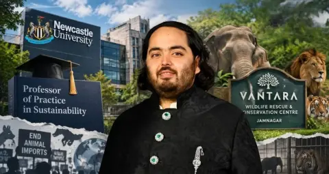 Newcastle University Professor of Practice: सस्टेनेबिलिटी में अनंत अंबानी को मिली नई अकादमिक जिम्मेदारी