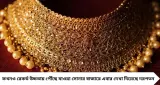 সোনার দাম হঠাৎ কমছে কেন? আরও নামবে কি হলুদ ধাতুর দর, নাকি ঘুরে দাঁড়াবে বাজার? সহজ অঙ্কে বুঝুন

