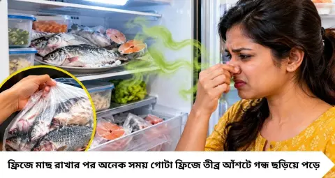 ফ্রিজ খুললেই মাছের আঁশটে গন্ধ? এই ২ জিনিস একসঙ্গে রাখুন, শুঁটকি থাকলেও দুর্গন্ধে নাক কুঁচকোবে না!
