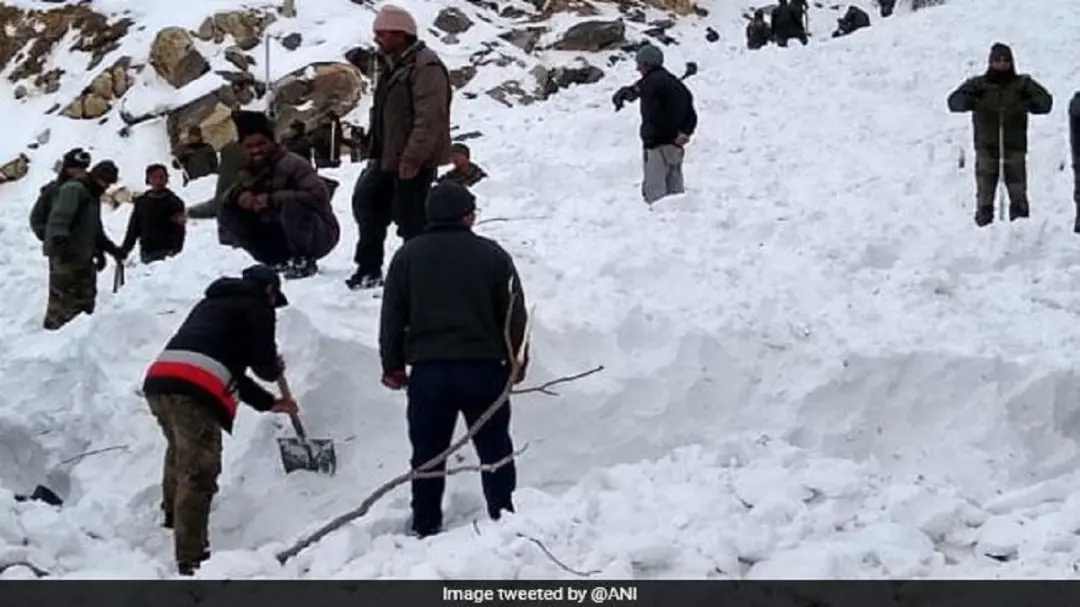 किन्नौर में बर्फ ने मचाई तबाही, 2000 भेड़-बकरियां बर्फ में दबीं; कई के सिर्फ सींग दिख रहे, रेस्क्यू अभियान जारी