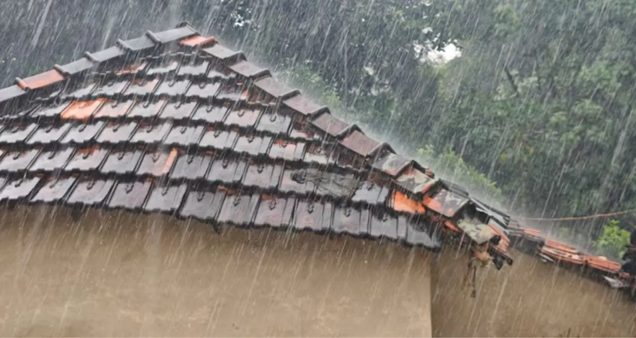South Bengal Weather Alert: নিম্নচাপের প্রভাবে দক্ষিণবঙ্গে দুর্যোগের আশঙ্কা, জেলায় জেলায় ভারী বৃষ্টি! কলকাতা-সহ কোথায় কেমন আবহাওয়া?

