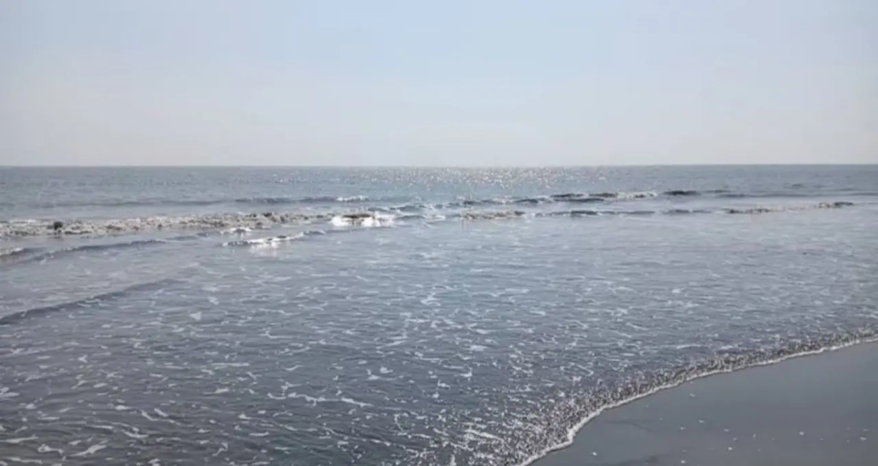 Sea Beach: কলকাতার কাছেই নিরিবিলি সমুদ্রের ঠিকানা! সঙ্গীর সঙ্গে কাটান দারুণ সময়, কৌশিকী অমাবস্যায় দেখুন উত্তাল ঢেউ