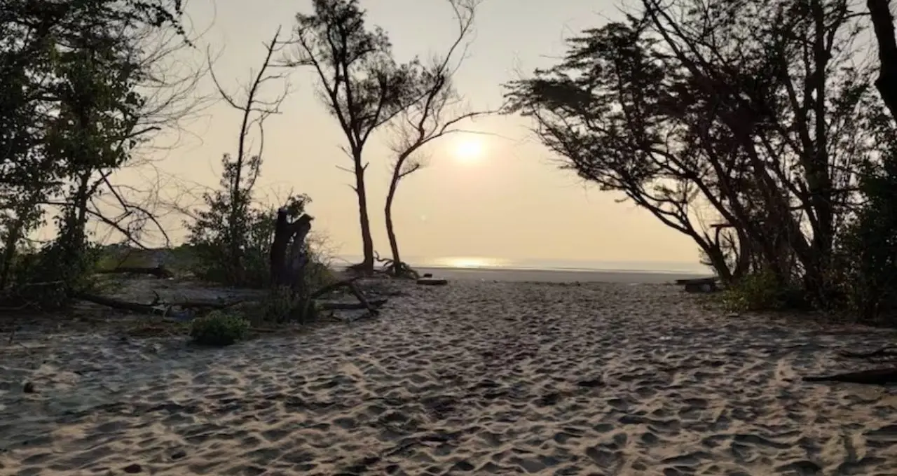 Sea Beach: কলকাতার কাছেই নিরিবিলি সমুদ্রের ঠিকানা! সঙ্গীর সঙ্গে কাটান দারুণ সময়, কৌশিকী অমাবস্যায় দেখুন উত্তাল ঢেউ