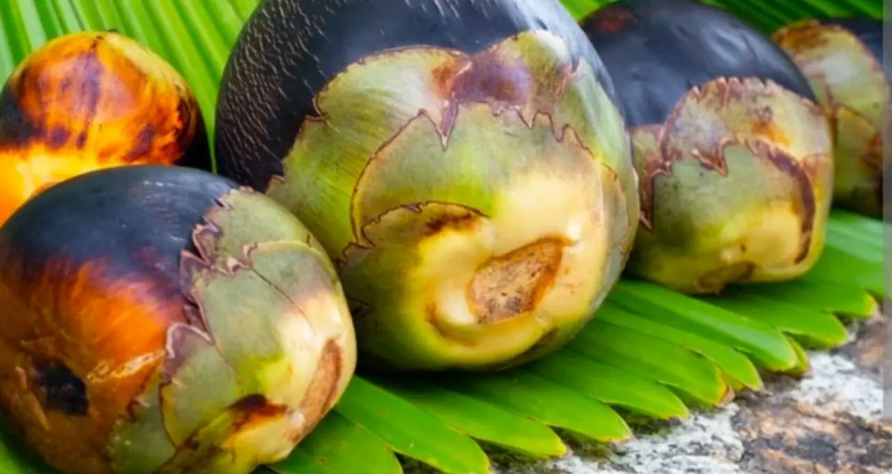 তালের লুচি ফুলবে না চুপসে যাবে? ময়দায় এই ১ উপকরণ মেশালেই হবে তুলতুলে নরম, জন্মাষ্টমীতে রেসিপি জমবে
