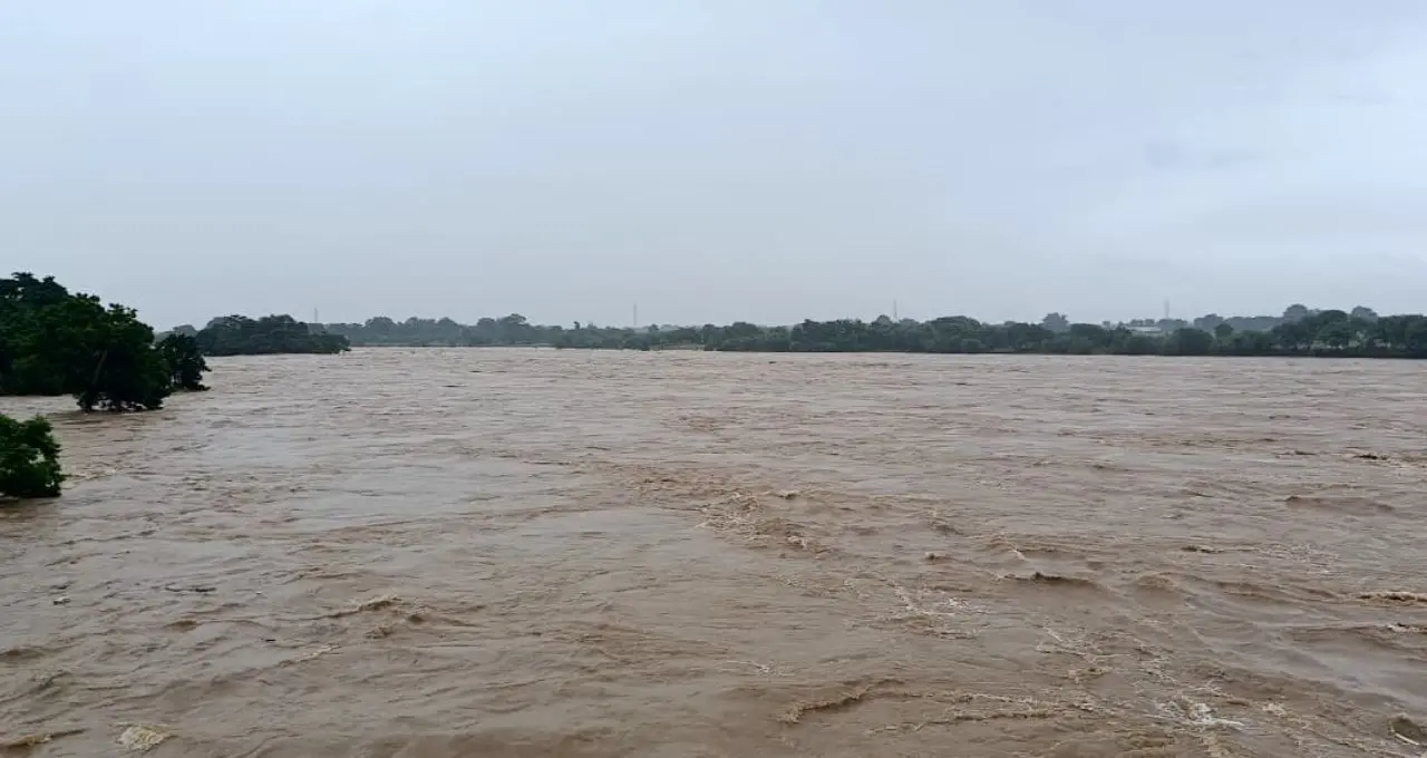 झारखंड में लगातार बारिश से बिगड़े हालात, खरकई-सुवर्णरेखा उफान पर; सोन नदी के किनारे हाई अलर्ट
