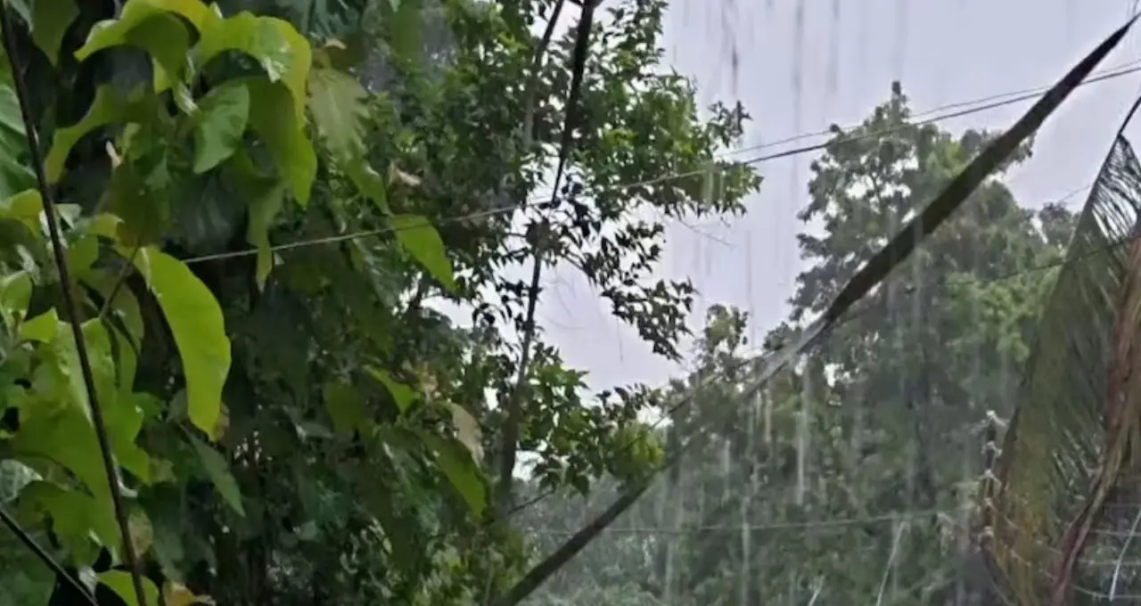 IMD Weather Alert: উত্তরবঙ্গে ফের দুর্যোগের ভ্রুকুটি! ৪ দিন টানা ঝড়-বৃষ্টি, ২ জেলায় কমলা সতর্কতা, কোথায় কতটা বৃষ্টি?
