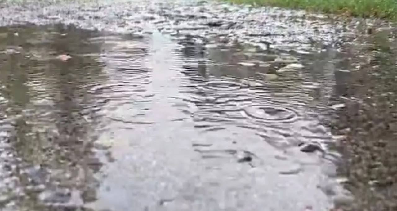 IMD Weather Alert: উত্তরবঙ্গে ফের দুর্যোগের ভ্রুকুটি! ৪ দিন টানা ঝড়-বৃষ্টি, ২ জেলায় কমলা সতর্কতা, কোথায় কতটা বৃষ্টি?
