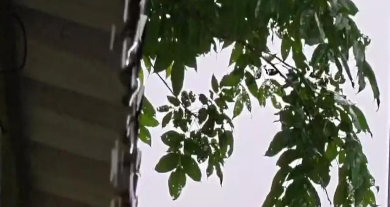 IMD Weather Alert: উত্তরবঙ্গে ফের দুর্যোগের ভ্রুকুটি! ৪ দিন টানা ঝড়-বৃষ্টি, ২ জেলায় কমলা সতর্কতা, কোথায় কতটা বৃষ্টি?
