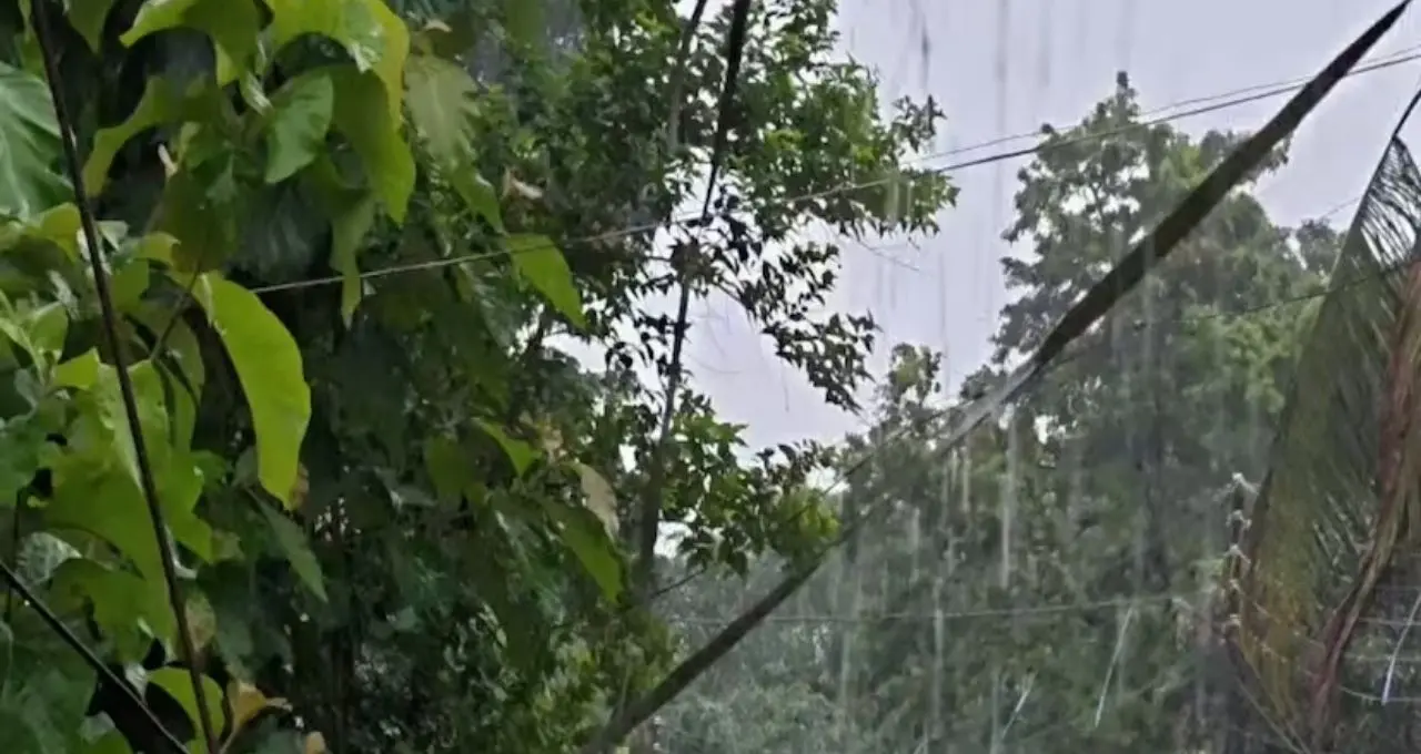 IMD Weather Alert: উত্তরবঙ্গে ফের দুর্যোগের আশঙ্কা! ঝড়-বৃষ্টি চলবে ৪ সেপ্টেম্বর পর্যন্ত, কমলা সতর্কতা জারি ২ জেলায়
