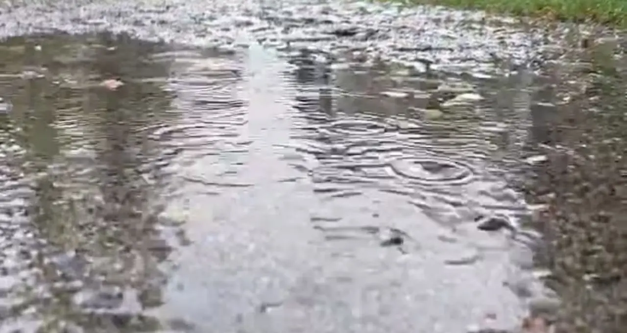 IMD Weather Alert: উত্তরবঙ্গে ফের দুর্যোগের আশঙ্কা! ঝড়-বৃষ্টি চলবে ৪ সেপ্টেম্বর পর্যন্ত, কমলা সতর্কতা জারি ২ জেলায়
