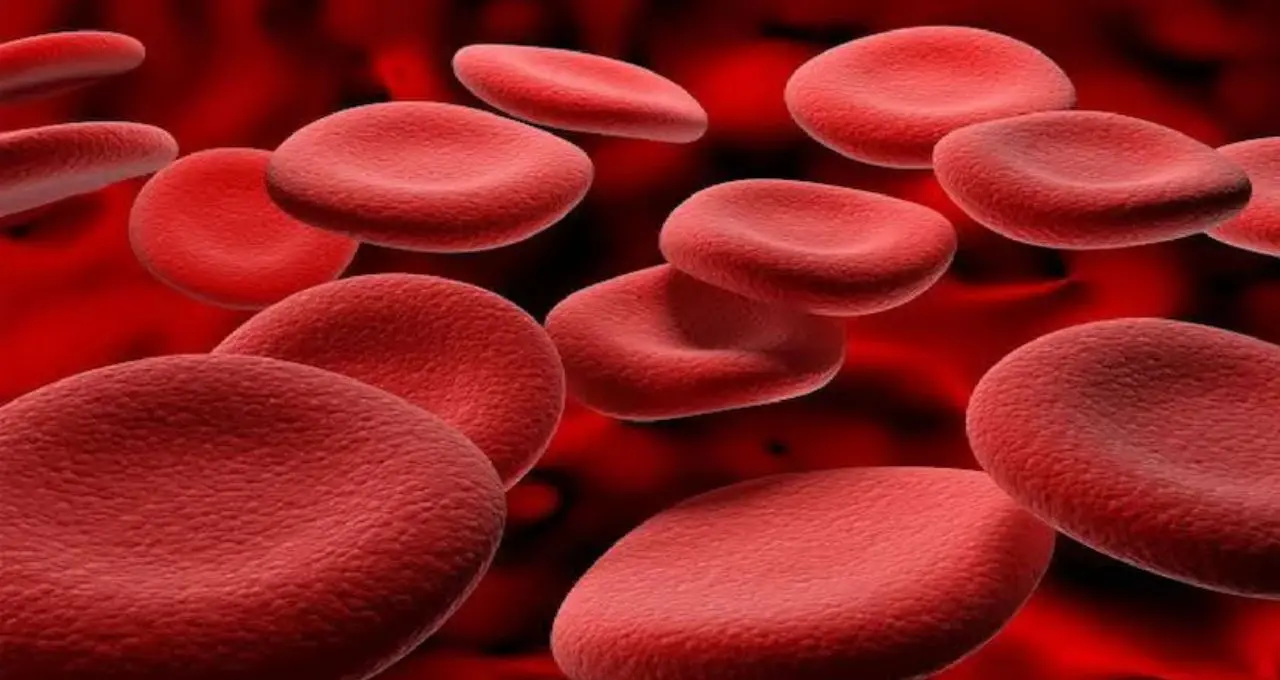 Diabetes Risk by Blood Group: কোন ব্লাড গ্রুপে ডায়াবেটিসের ঝুঁকি বেশি? কার ক্ষেত্রে কম, জানুন চিকিৎসকের ব্যাখ্যা
