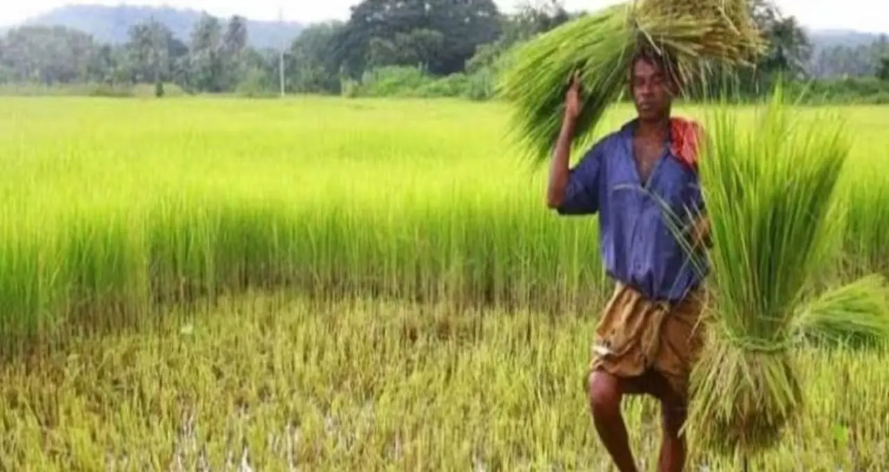 PM Kisan: কৃষকদের জন্য বড় খবর! শীঘ্রই অ্যাকাউন্টে ঢুকতে পারে ₹২,০০০, ২৪তম কিস্তি কবে? জানুন পুরো আপডেট