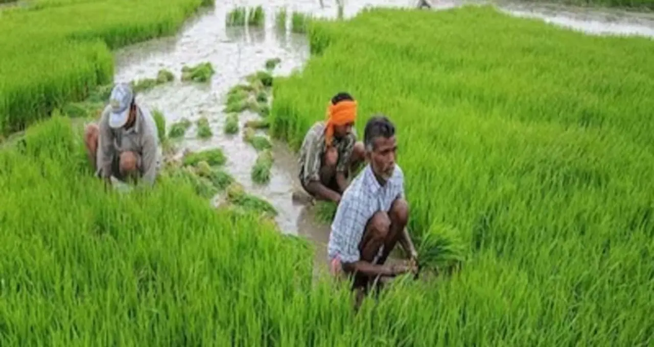 PM Kisan: কৃষকদের জন্য বড় খবর! শীঘ্রই অ্যাকাউন্টে ঢুকতে পারে ₹২,০০০, ২৪তম কিস্তি কবে? জানুন পুরো আপডেট