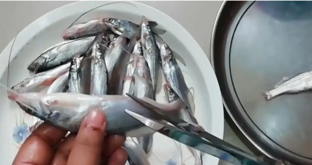Tangra Fish Cleaning Tips: কাঁটার ভয়ে ট্যাংরা কাটতে ভয়? বঁটি ছাড়াই কাঁচি দিয়ে সহজে পরিষ্কার করুন, ডিমও থাকবে অক্ষত
