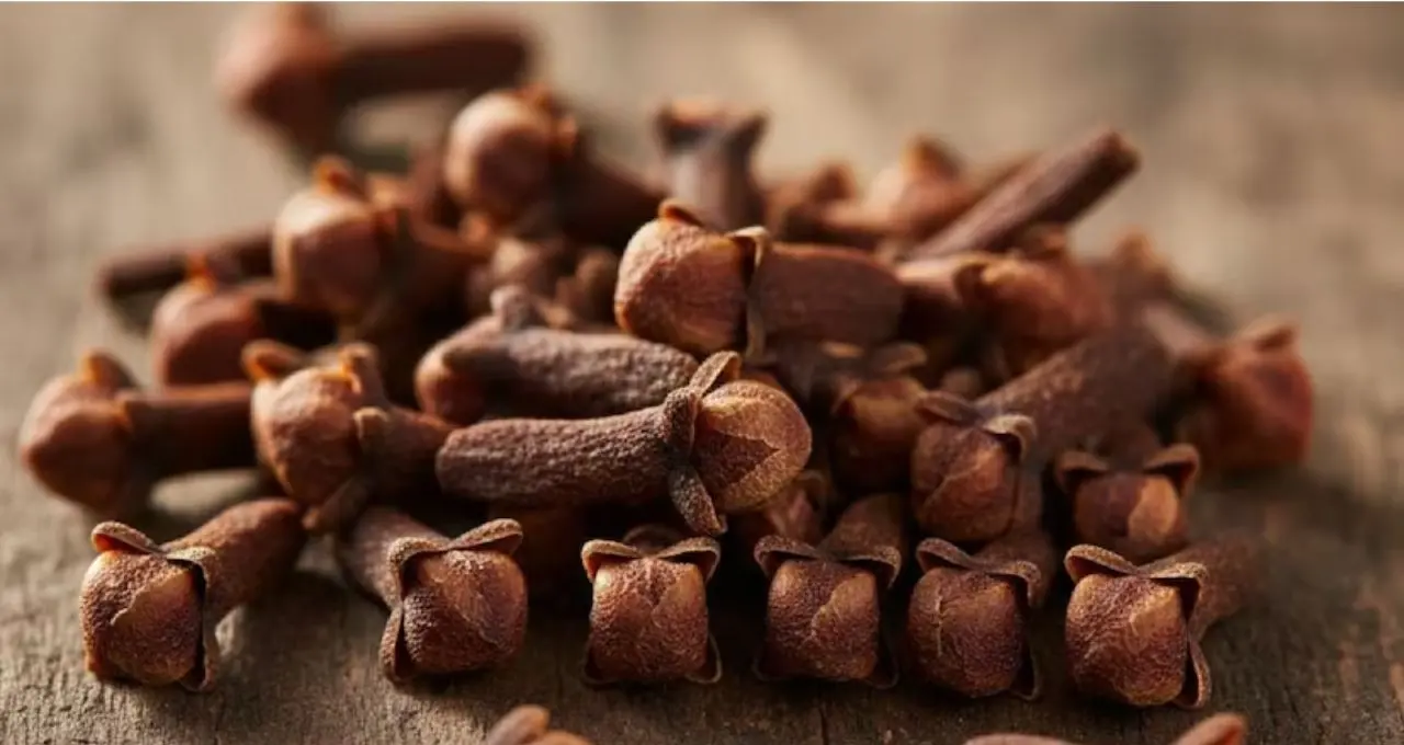 Clove Buying Tips: লবঙ্গ কিনছেন? আসল না ভেজাল বুঝবেন কীভাবে, বাজারেই কাজে লাগবে এই ৪ কৌশল
