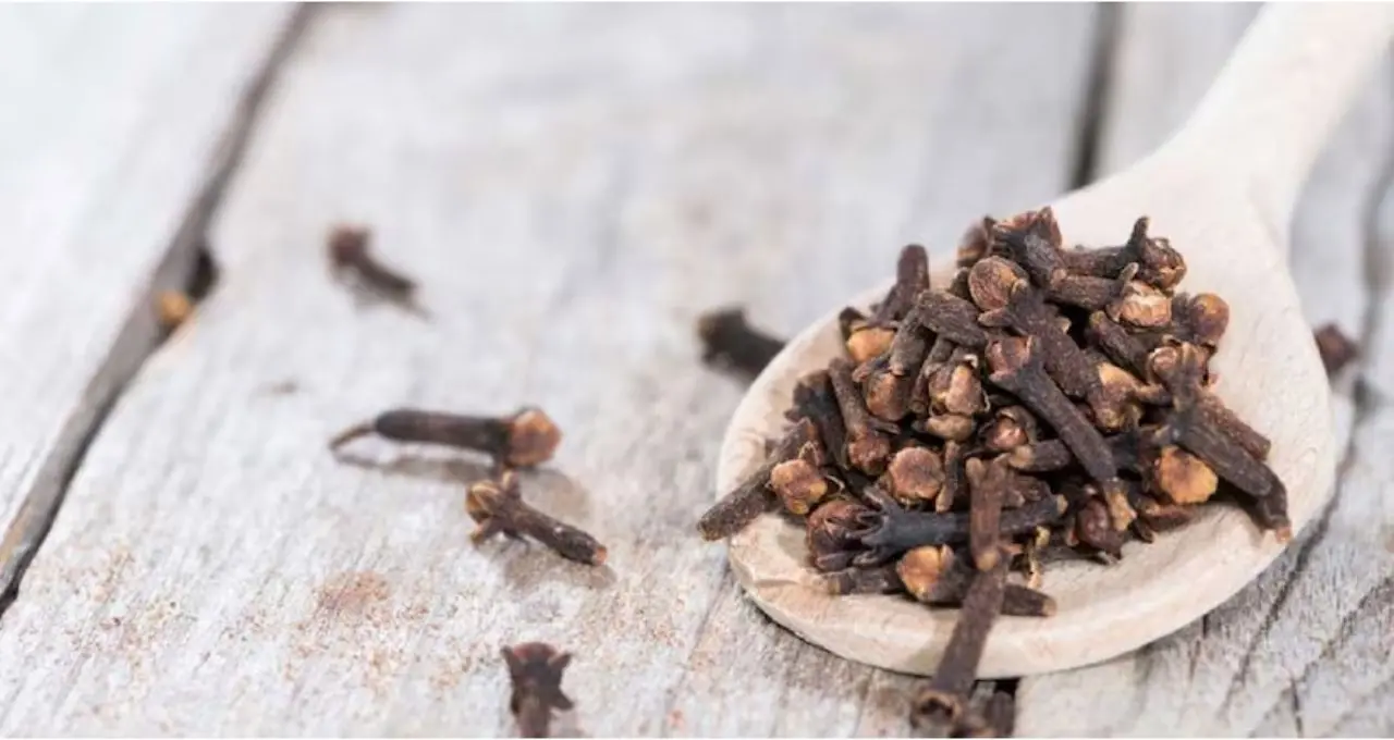 Clove Buying Tips: লবঙ্গ কিনছেন? আসল না ভেজাল বুঝবেন কীভাবে, বাজারেই কাজে লাগবে এই ৪ কৌশল
