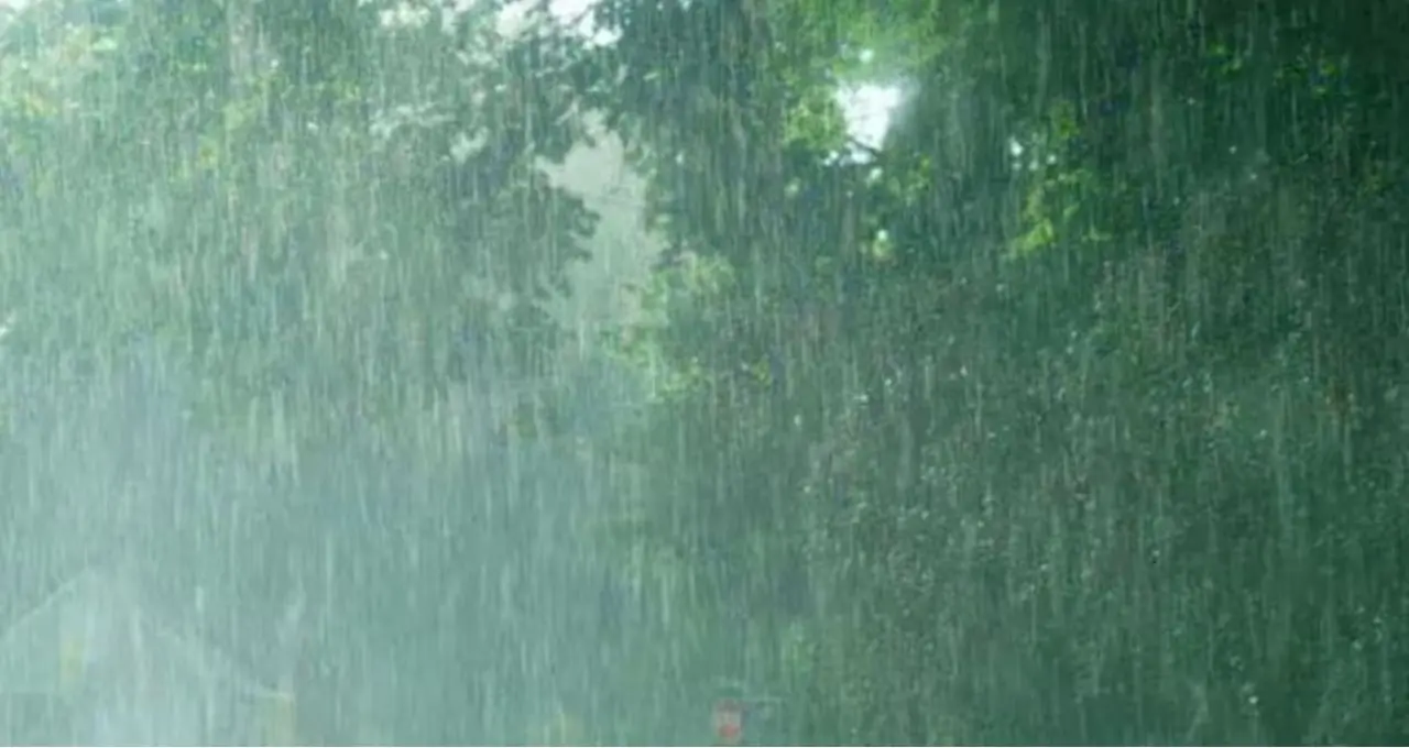 বৃহস্পতিবার ফের ঝড়-বৃষ্টির দাপট! দক্ষিণবঙ্গের ৮ জেলায় বজ্রবিদ্যুৎ-সহ বৃষ্টির সতর্কতা, উত্তরে অতি ভারী বৃষ্টি—কবে মিলবে স্বস্তি?